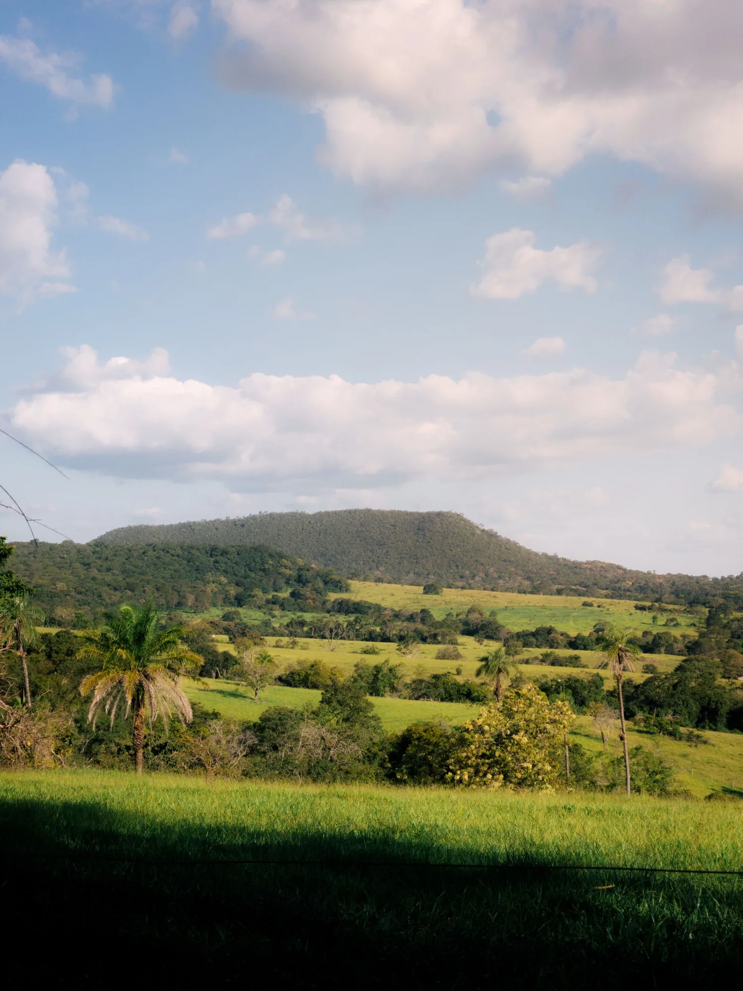 Green hills and bushland under a blue sky